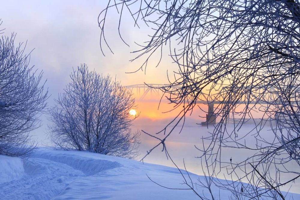 Photograph by Ирина Попкова