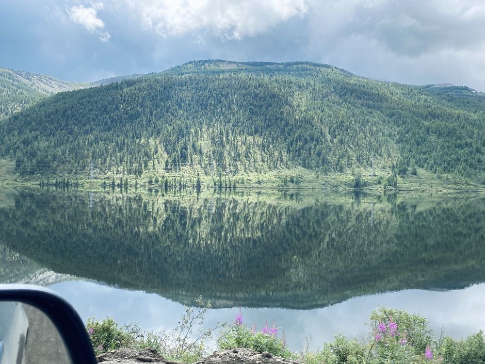 Фотография автора Maria Alekseeva