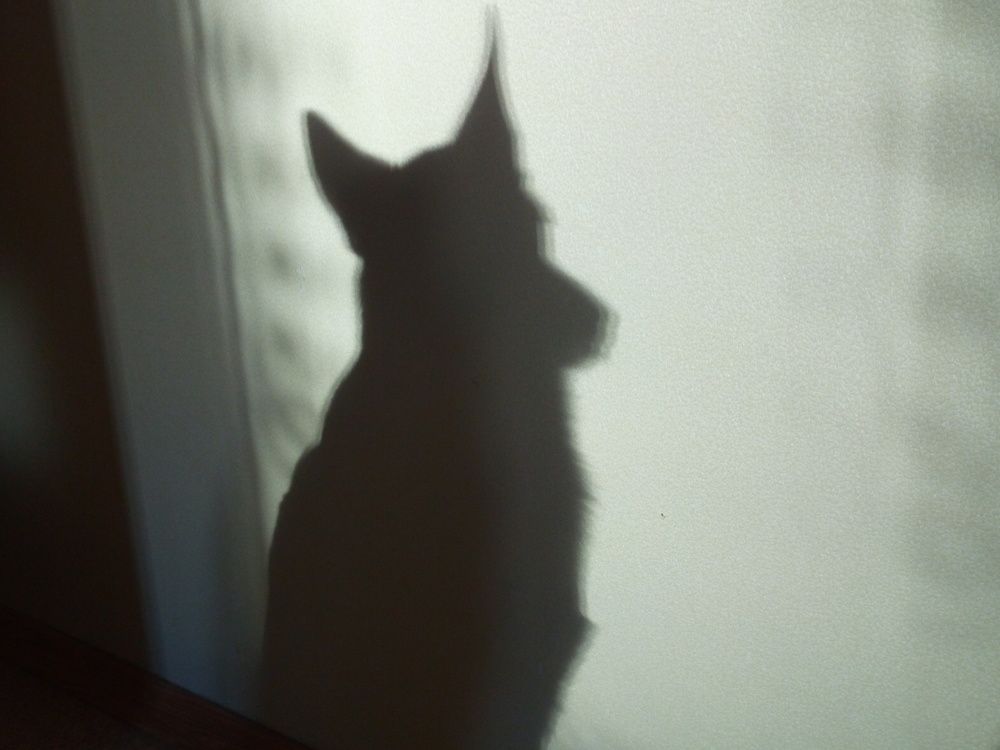 Photograph by Юлия