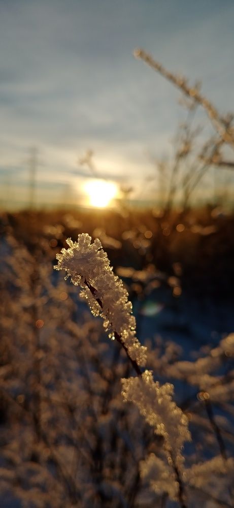 Photograph by Иван Соловьев