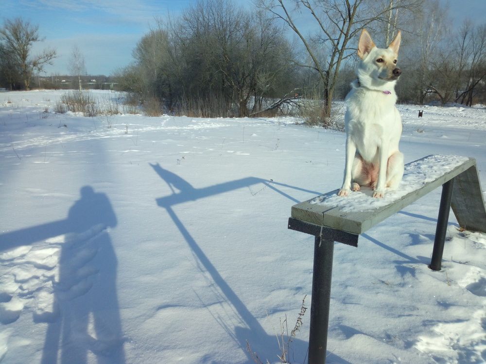 Photograph by Юлия