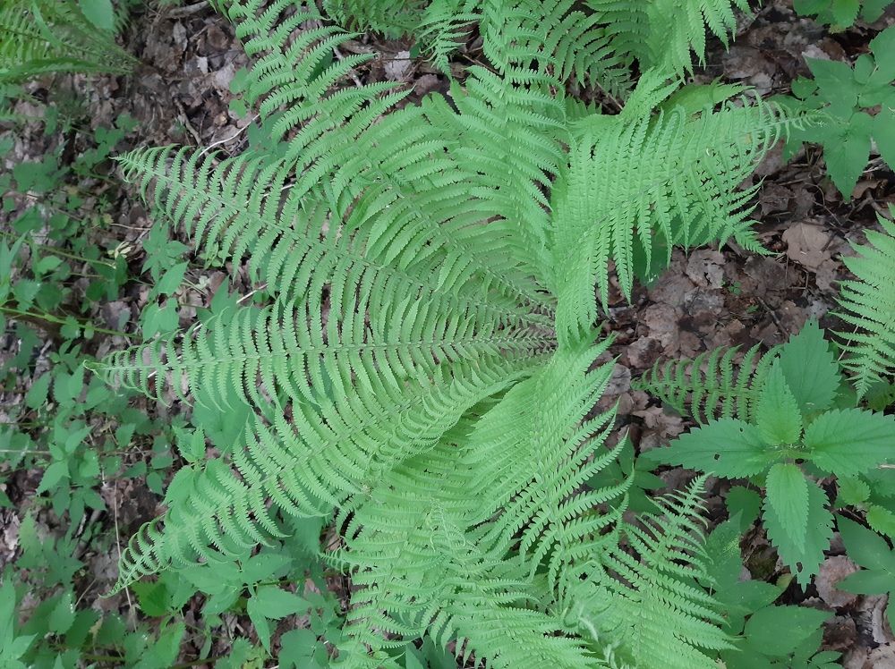 Photograph by Сергей Александрович