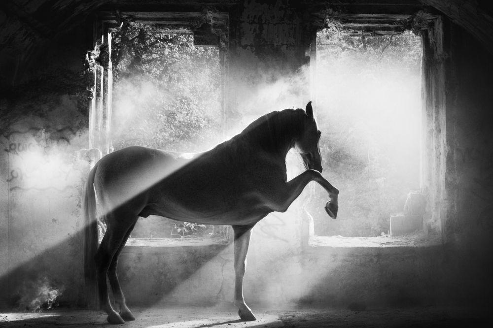 Photograph by Anna Sychowicz