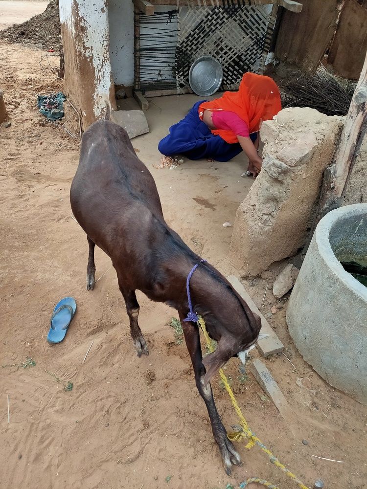 Photograph by Sunil Sharma