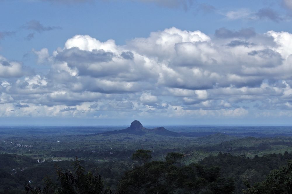 Фотография автора JOE