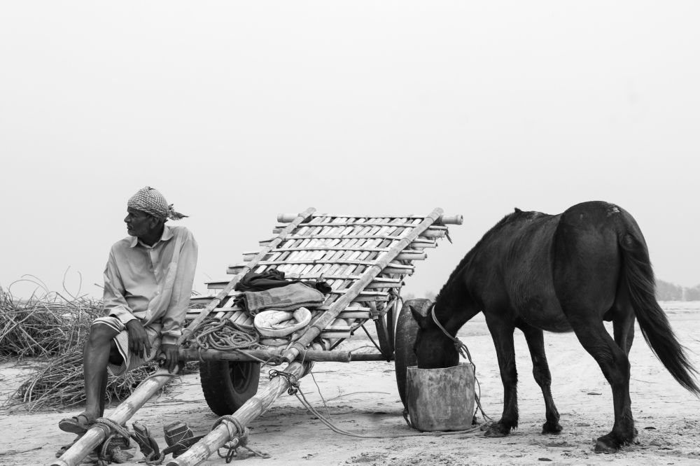 Photograph by Rezaul Sheikh