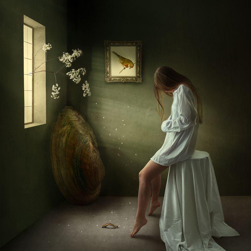 Photograph by Борис Попчинский