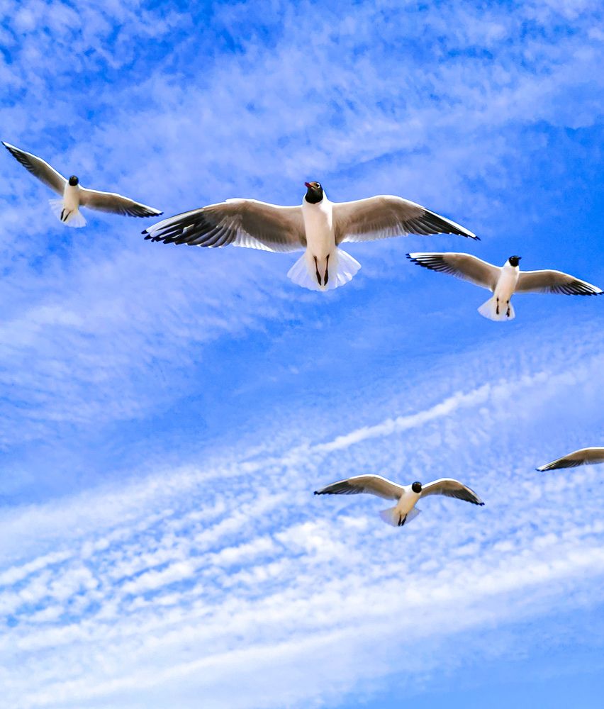 Фотография автора Дмитрий Лебедь