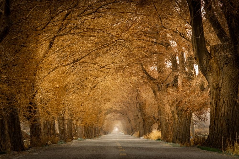 Photograph by Vahid Sabet