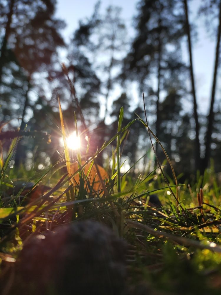 The sun catcher