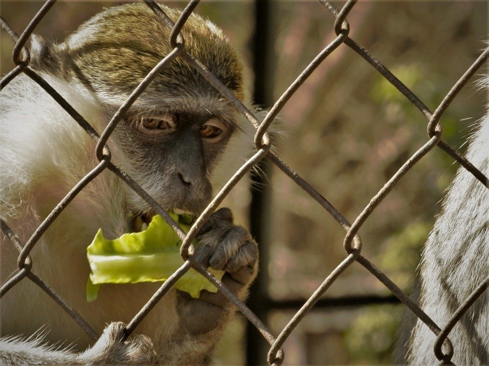 Photograph by Bassem Ahmed Khallaf