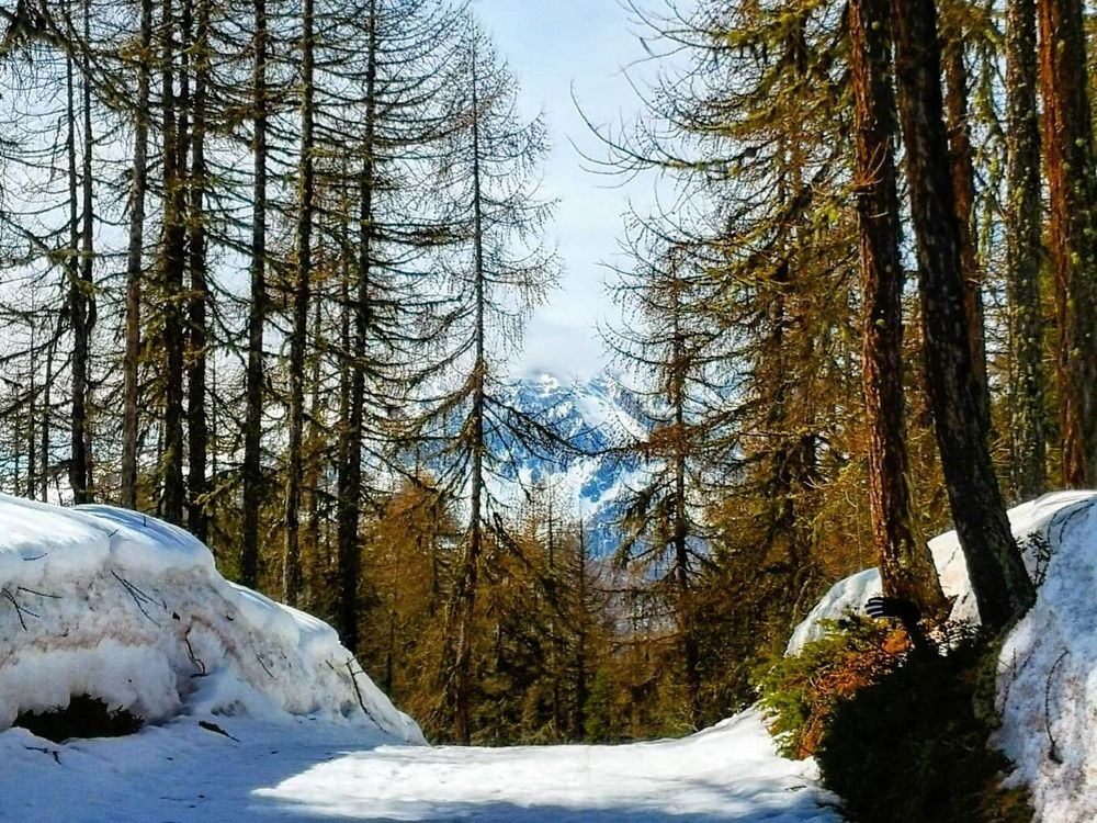 Фотография автора TARAS SHPEH