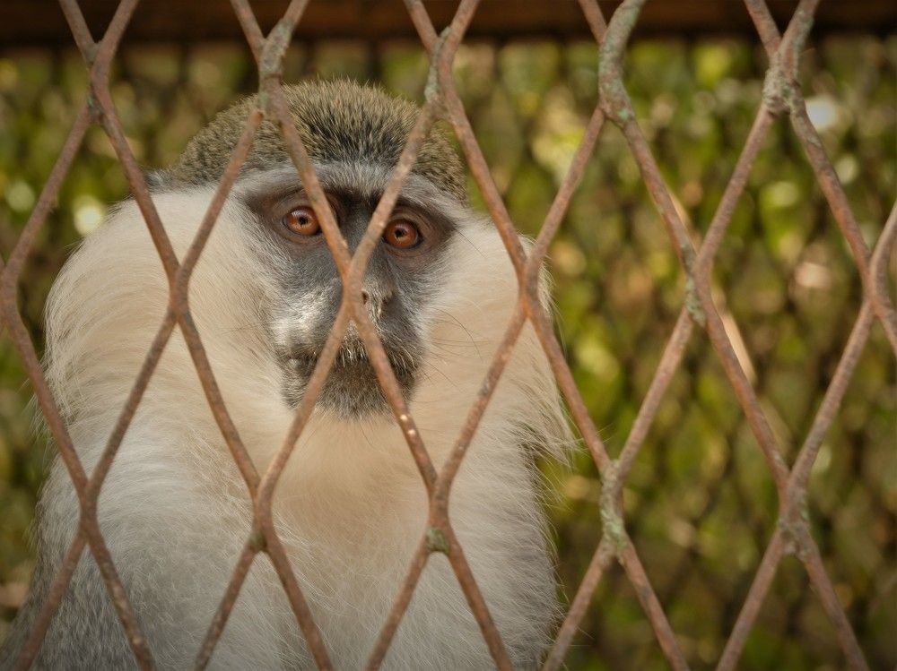 Photograph by Bassem Ahmed Khallaf