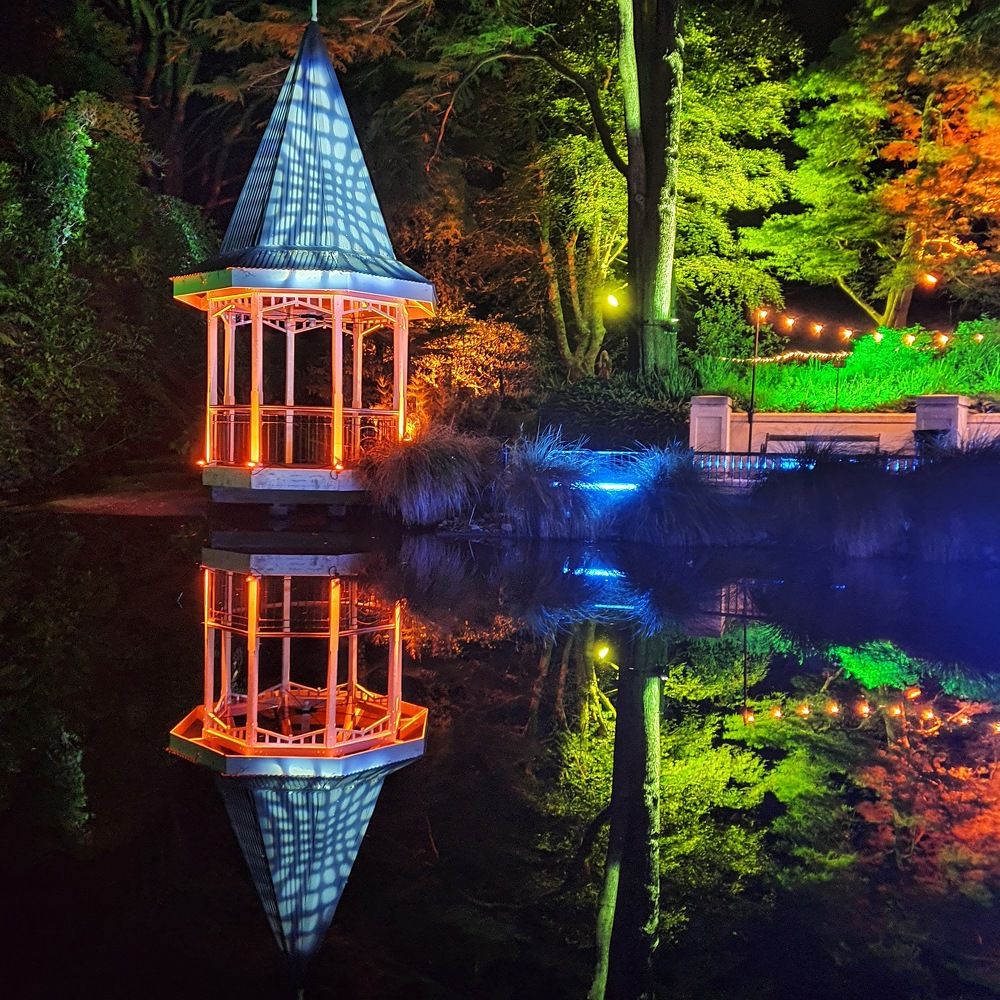 Reflection