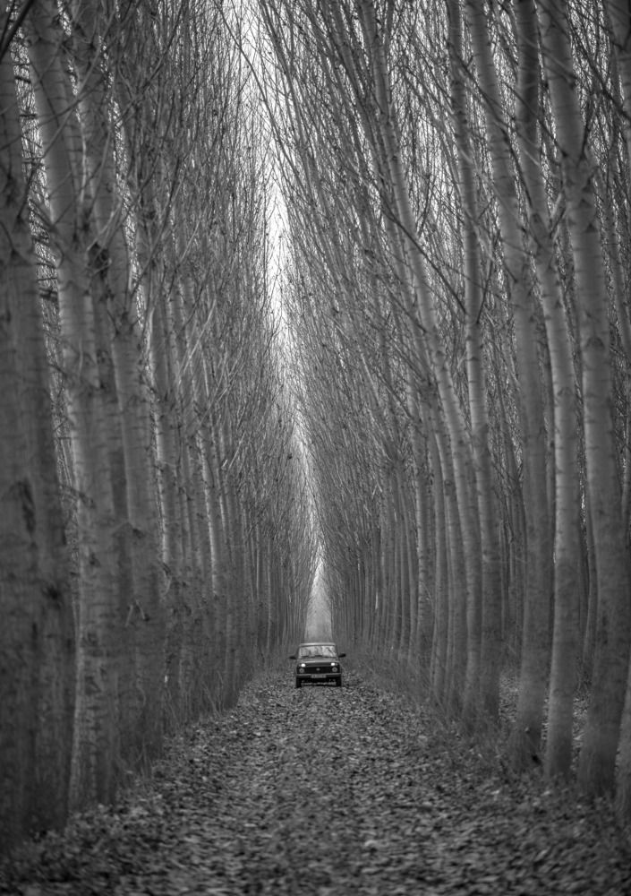 Фотография автора Konstantin Vladov