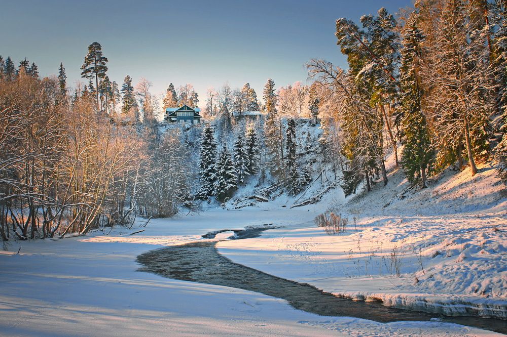 Фотография автора Анатолий Дауров