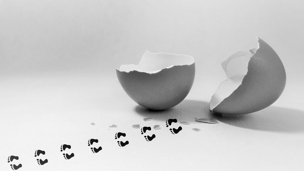 "Свобода!" "Freedom!"