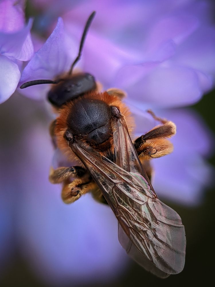 Photograph by Юлия Локтева