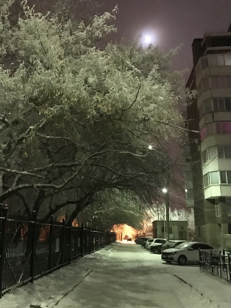 Photograph by Маргарита Юрченко