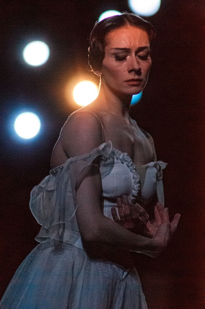 Похожи на стаю птиц