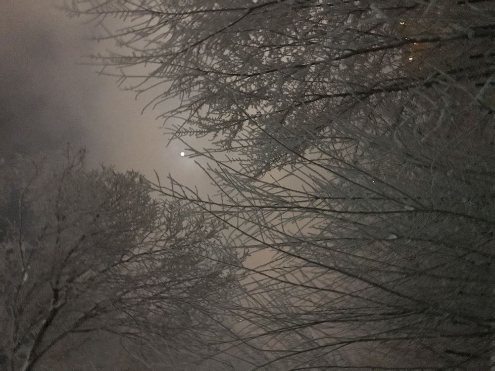 Photograph by Маргарита Юрченко