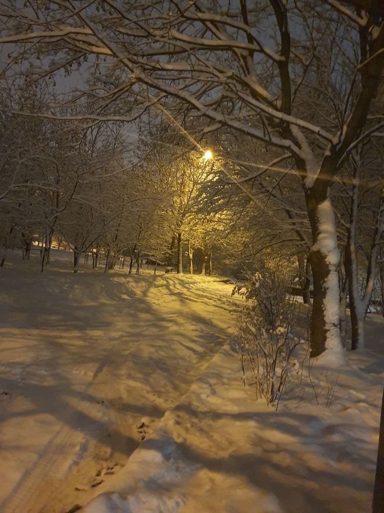 Фотография автора Наталья