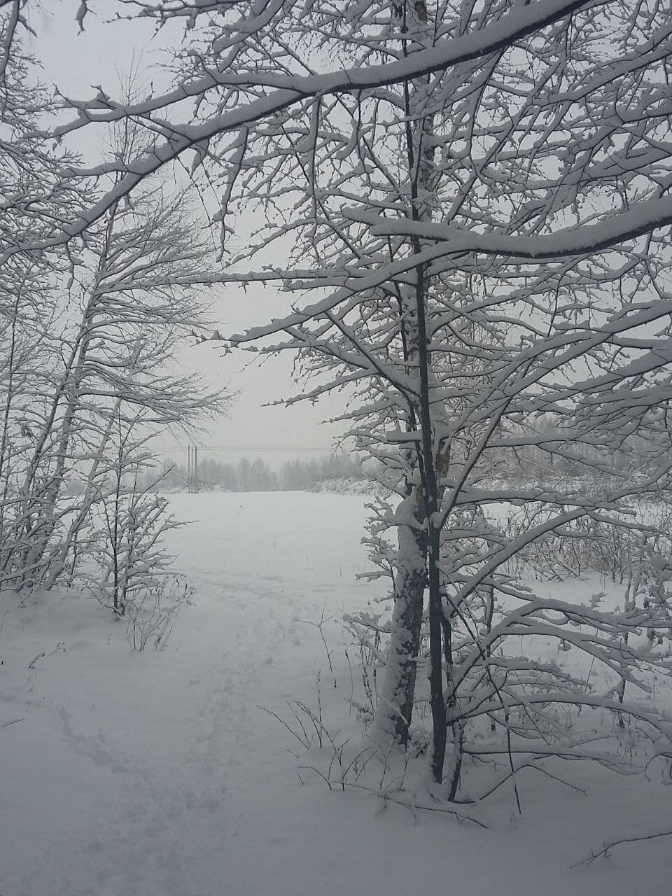 Photo #5759478