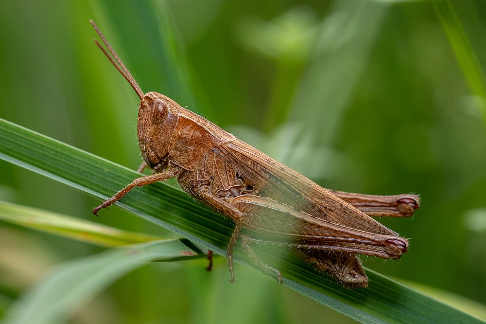 Photograph by Markus Bieck