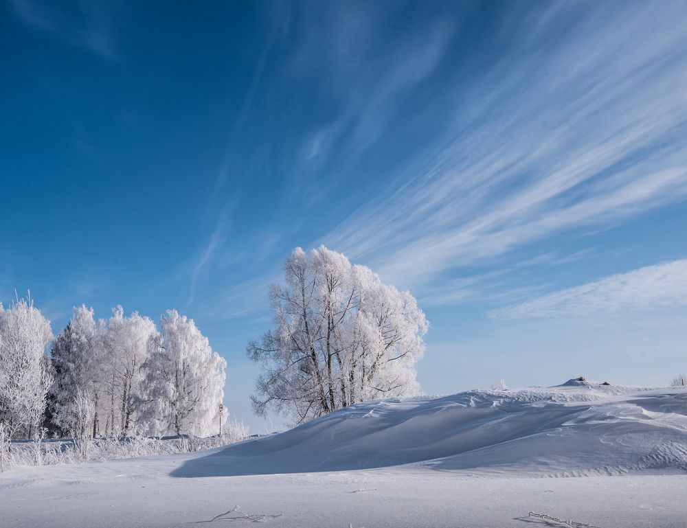 Фотография автора Виктор Руденко