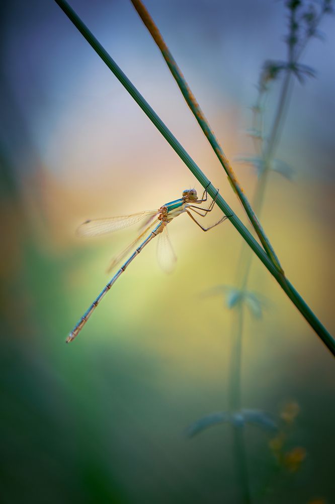 Photograph by Виктория Быканова