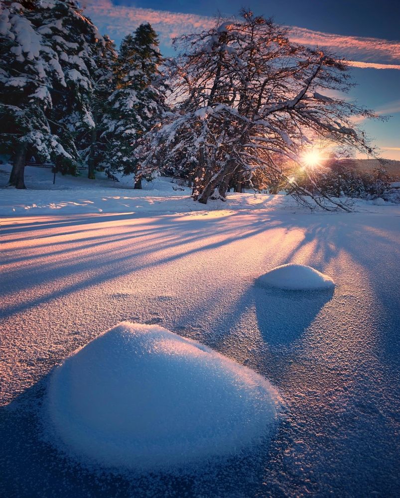 Photograph by Khaled Hmaad