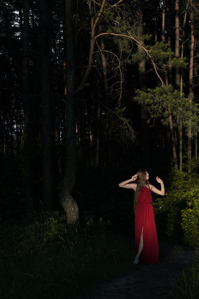 Заблуждение