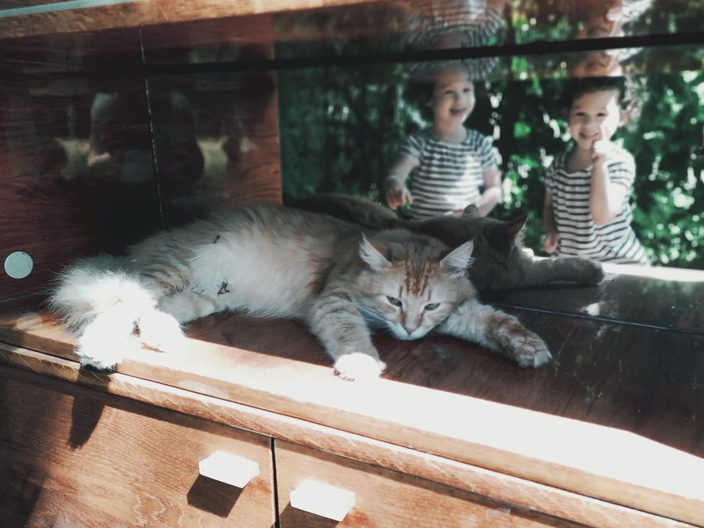 Photograph by Татьяна Кузнецова