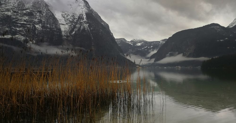 Хмурое утро