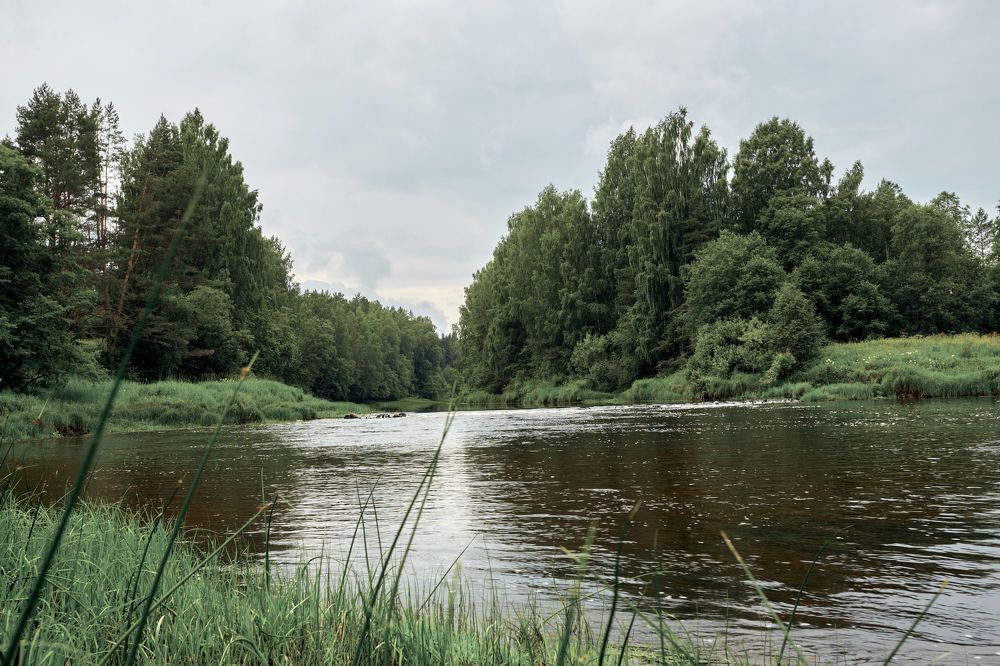 Photograph by Михаил Царук