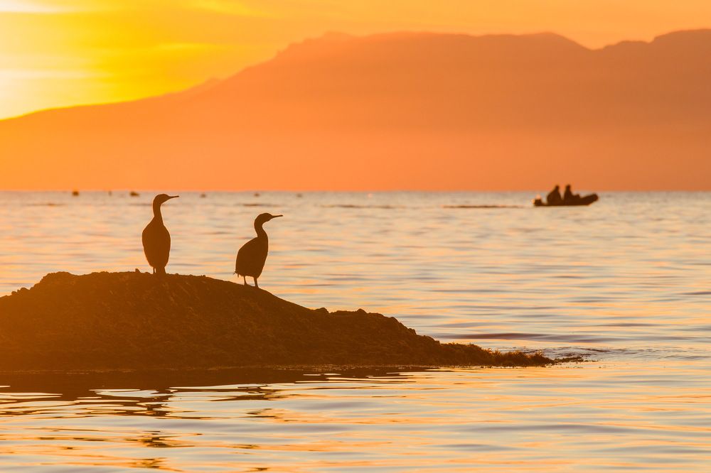 Photograph by Елена Покрепа