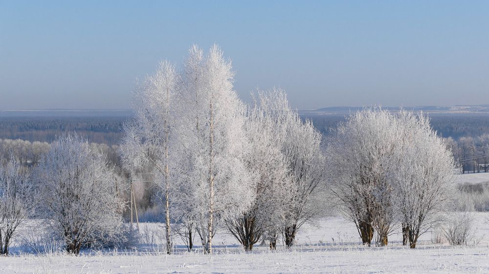 В пуховых одеяниях