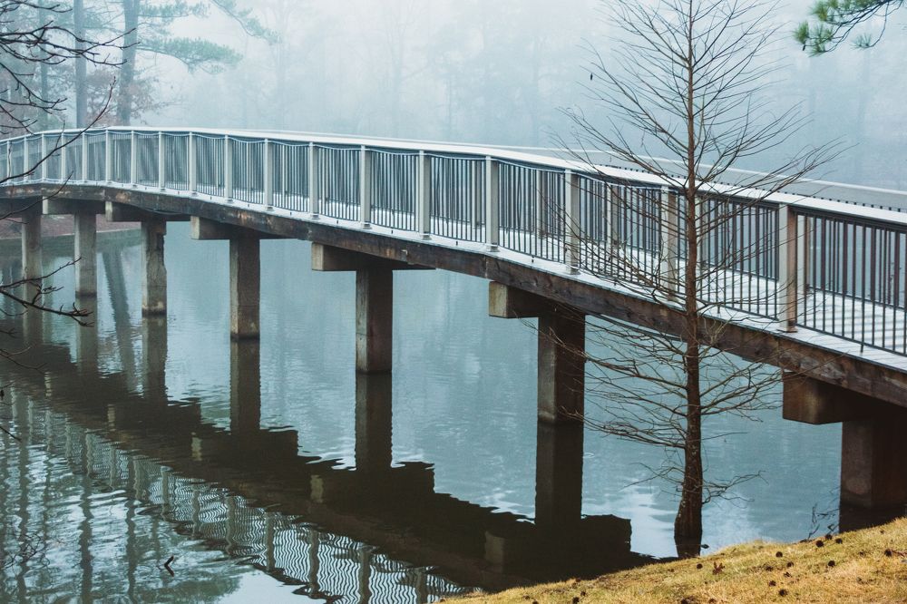 Winter foggy morning