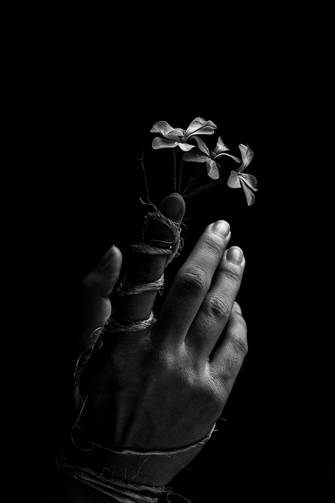 Preserve! O futuro está em nossas mãos.