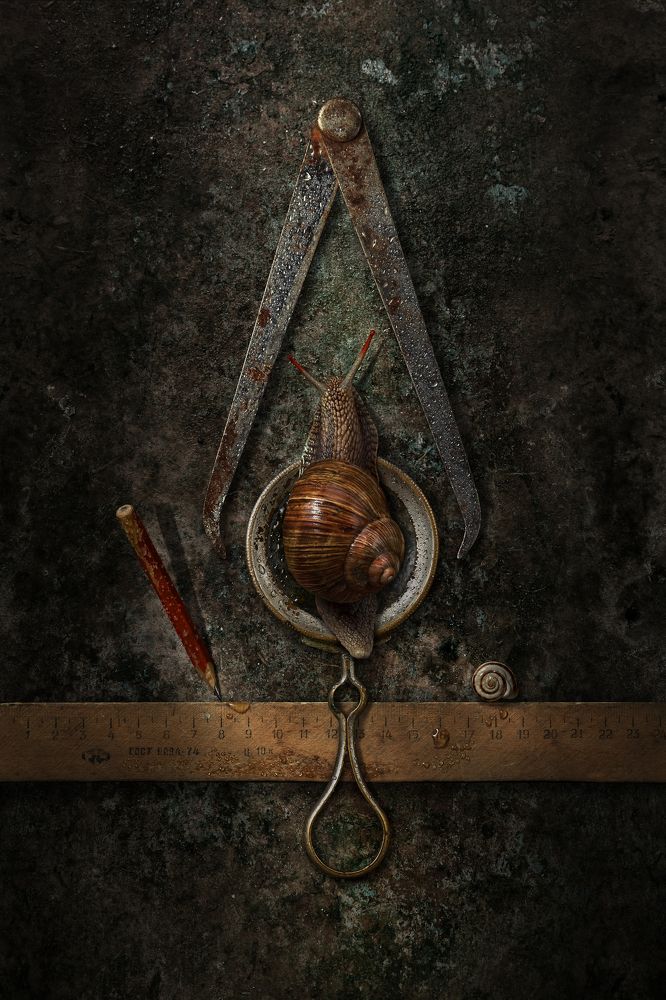 Photograph by Борис Попчинский