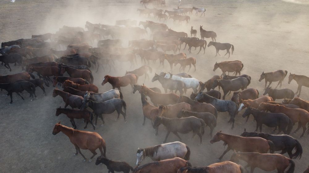 Photograph by beytullah eles