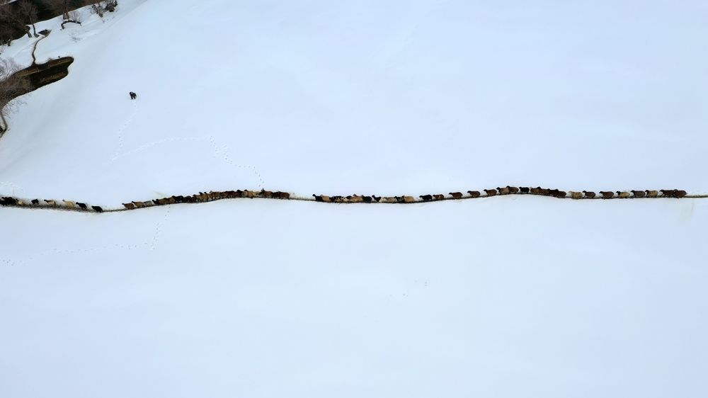 Photograph by beytullah eles