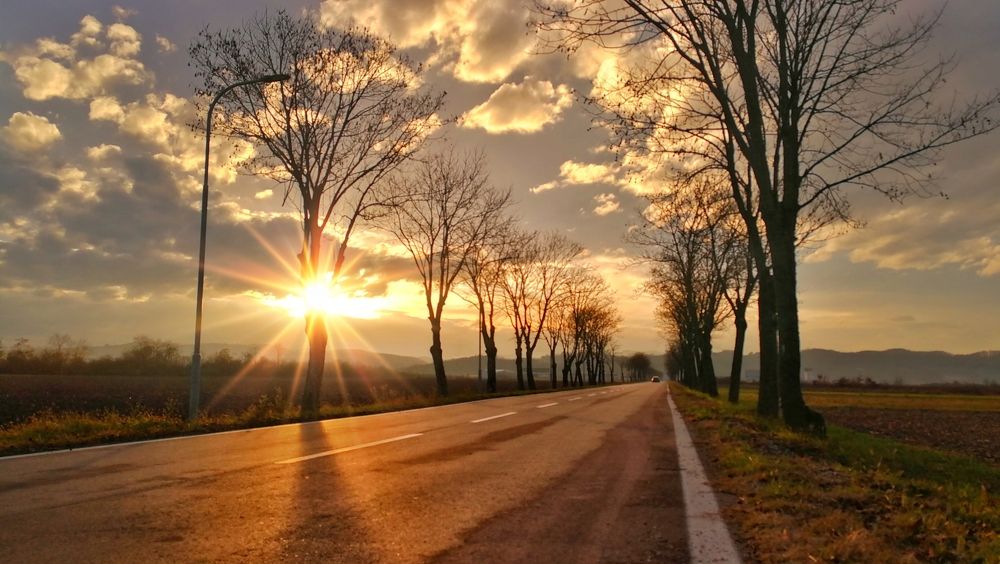 Photograph by Tihomir Pavlović