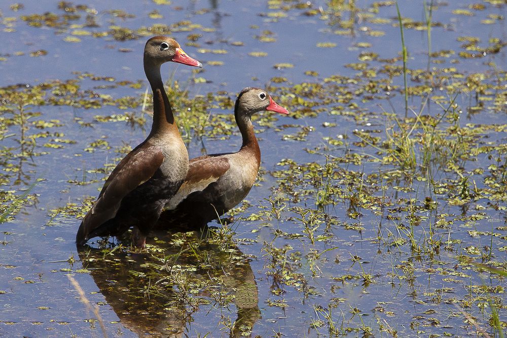 Photograph by Claudio Frateschi