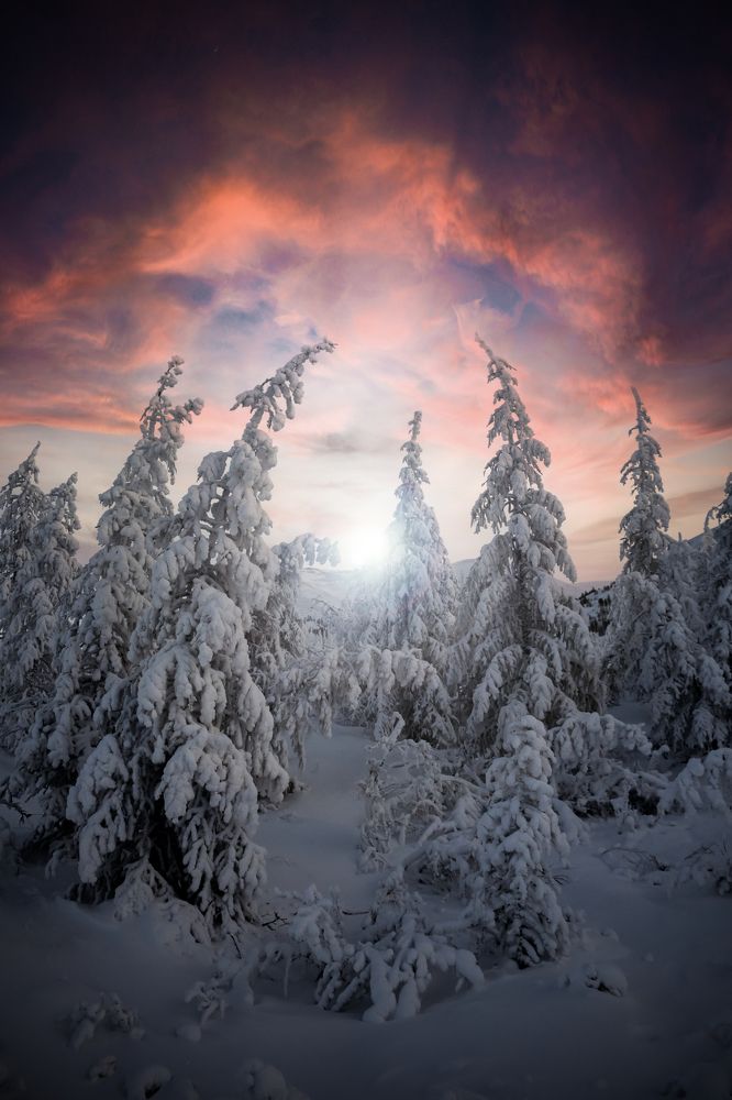 Фотография автора Дмитрий Ляшеев