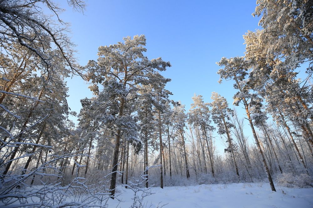 Photograph by Raul  Uporov