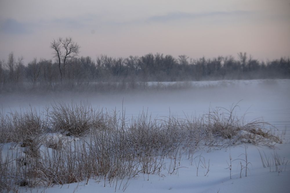 Морозный туман