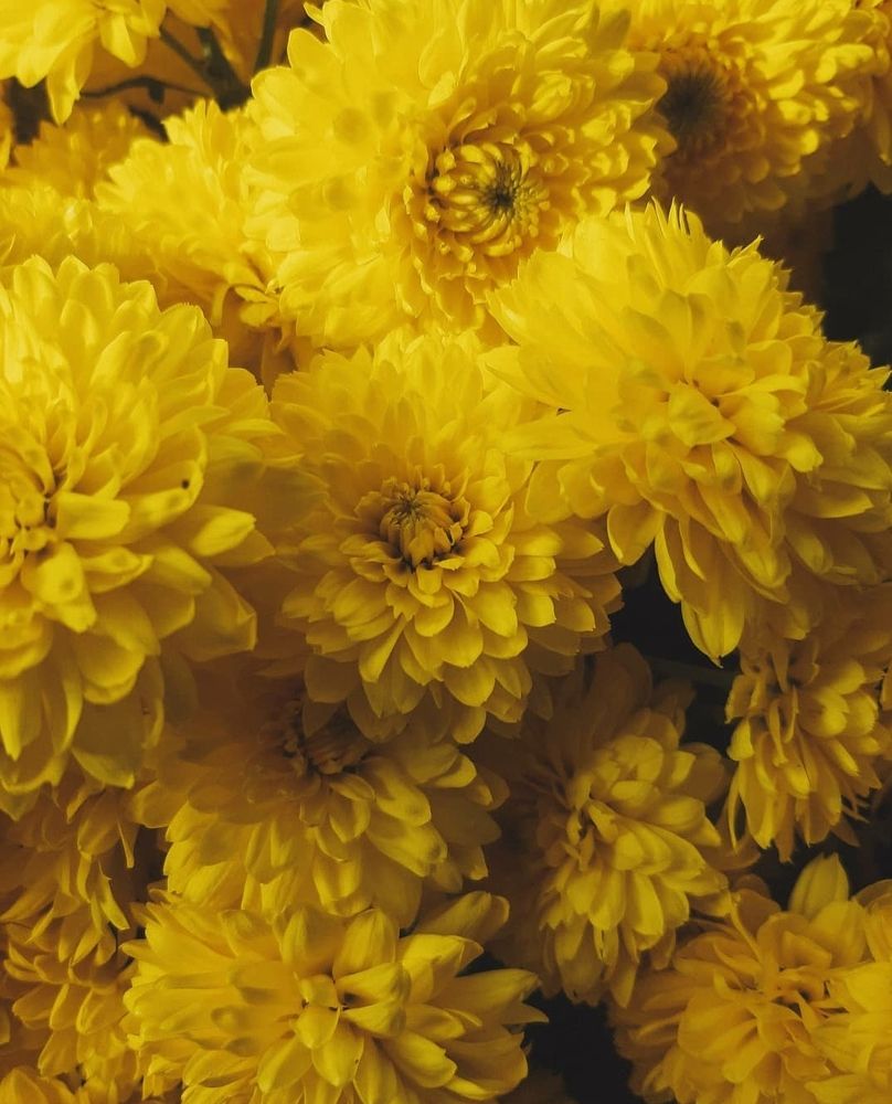 Photograph by Дарья Довгаль