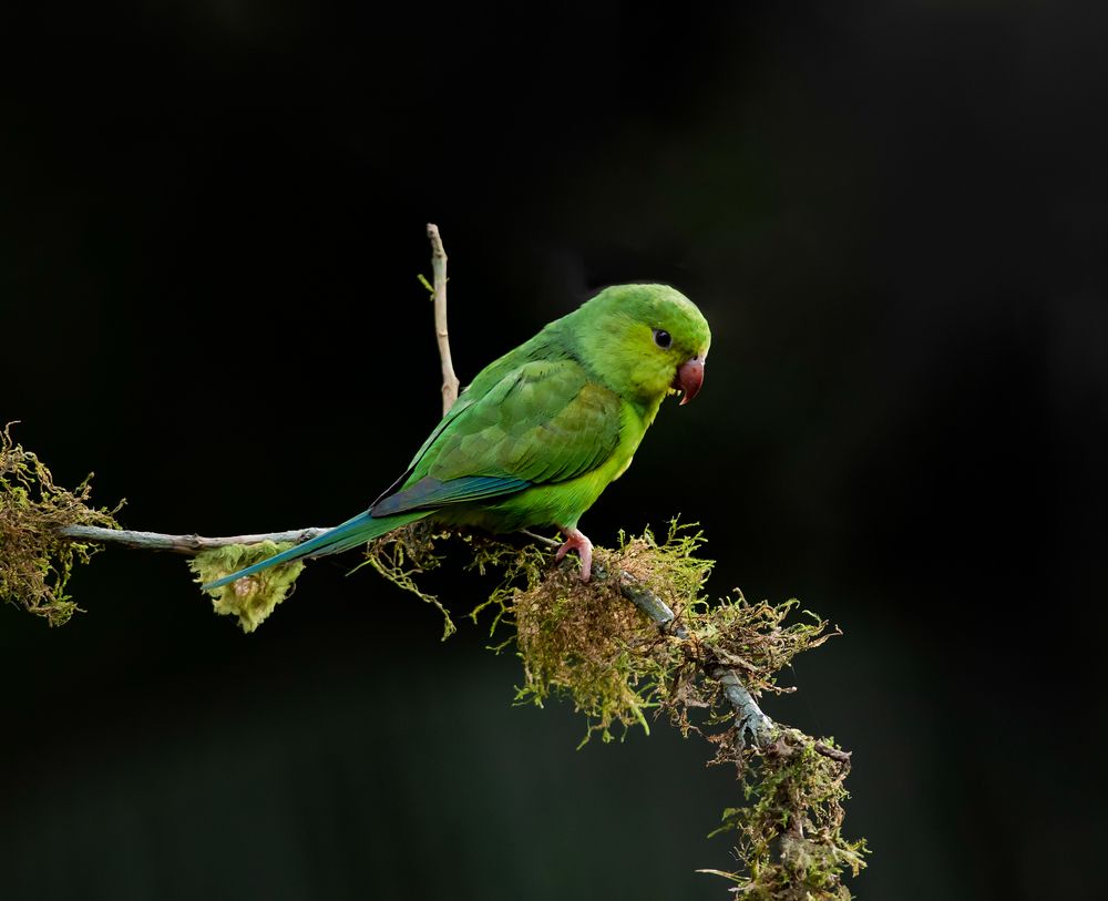 Photograph by Edilene Guerra