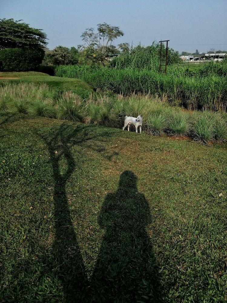 Photograph by Shwetagupta